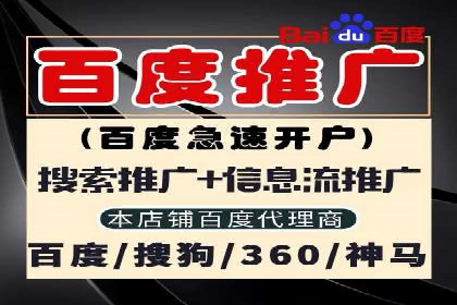 高效SEM广告投放实战技巧